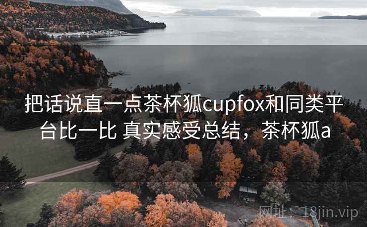把话说直一点茶杯狐cupfox和同类平台比一比 真实感受总结，茶杯狐a