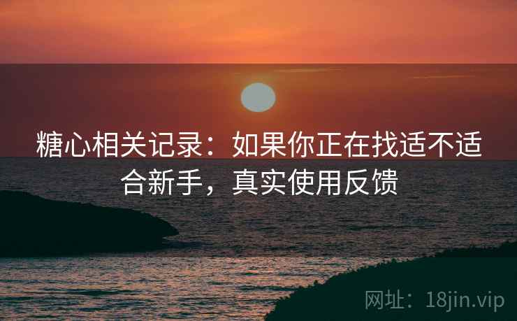 糖心相关记录：如果你正在找适不适合新手，真实使用反馈
