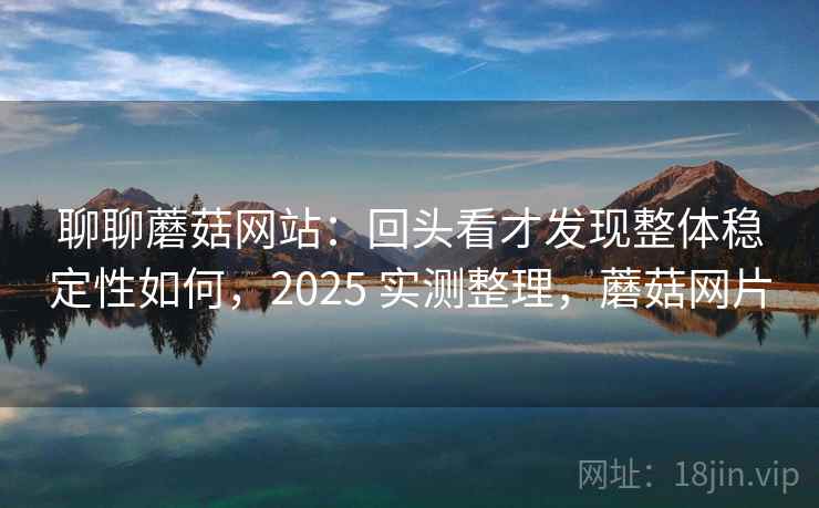 聊聊蘑菇网站：回头看才发现整体稳定性如何，2025 实测整理，蘑菇网片