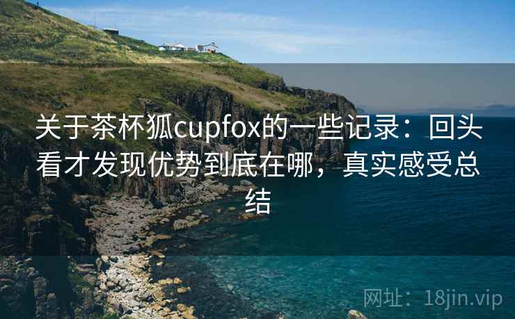 关于茶杯狐cupfox的一些记录：回头看才发现优势到底在哪，真实感受总结