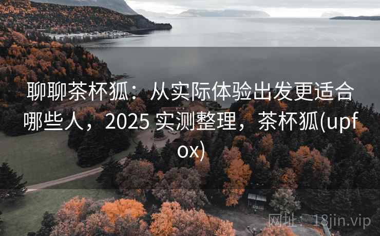 聊聊茶杯狐：从实际体验出发更适合哪些人，2025 实测整理，茶杯狐(upfox)
