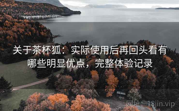 关于茶杯狐：实际使用后再回头看有哪些明显优点，完整体验记录