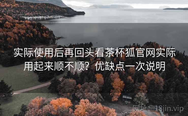 实际使用后再回头看茶杯狐官网实际用起来顺不顺?优缺点一次说明 实际使用后再回头看茶杯狐官网实际用起来顺不顺?优缺点一次说明