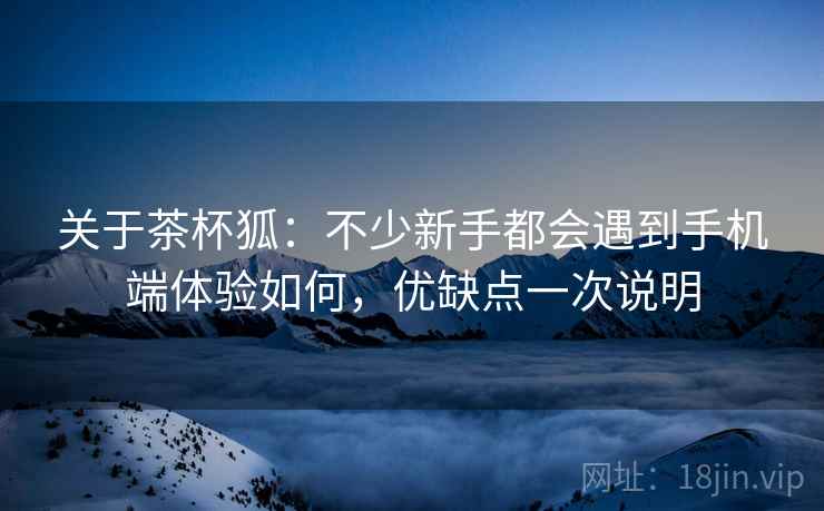 关于茶杯狐：不少新手都会遇到手机端体验如何，优缺点一次说明