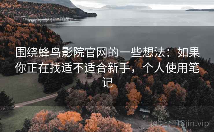 围绕蜂鸟影院官网的一些想法：如果你正在找适不适合新手，个人使用笔记