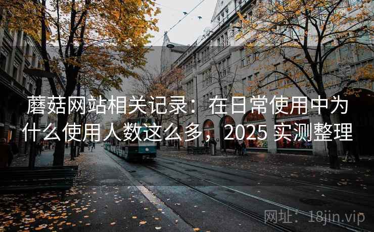 蘑菇网站相关记录:在日常使用中为什么使用人数这么多,2025 实测整理 蘑菇网站相关记录:在日常使用中为什么使用人数这么多,2025 实测整理